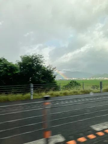 雨上がりの虹と緑のコントラスト