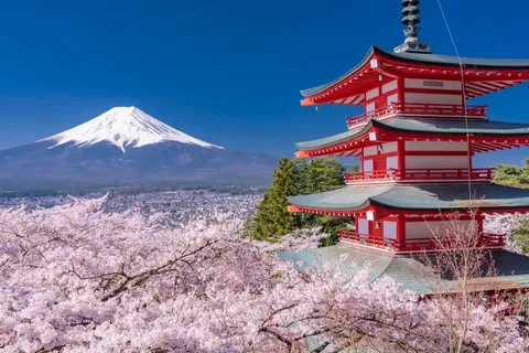 桜越しの雪峰と朱の塔
