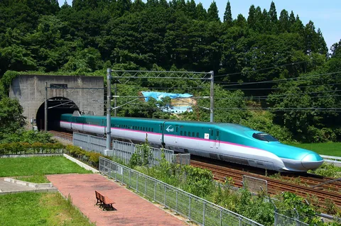 トンネルから飛び出す新幹線