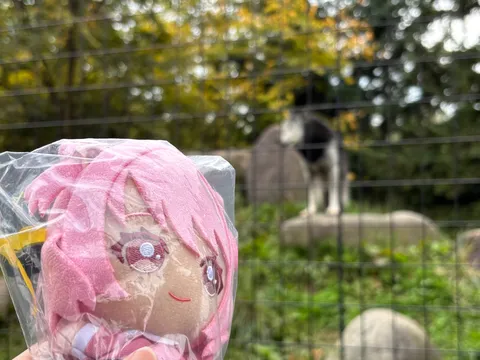 透明アクリル越しの風景
