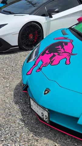 鮮烈カラーのランボルギーニ