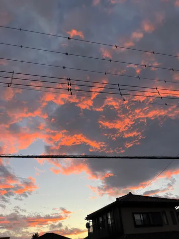 夕焼けと電線の瞬間