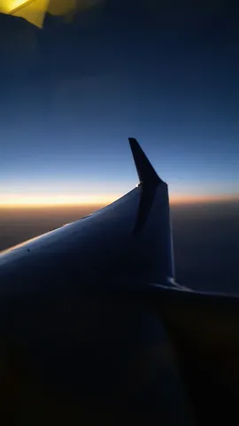 夕景の翼が映す静寂