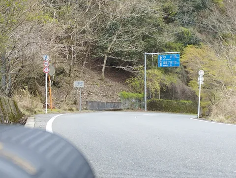 新緑が芽吹く山道のカーブ