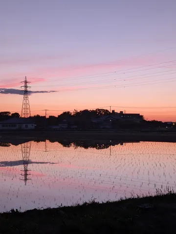 電気塔と夕焼けの田んぼ道