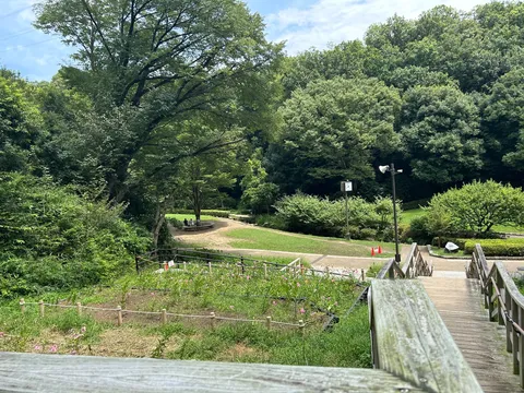 緑の階段を降りる風景