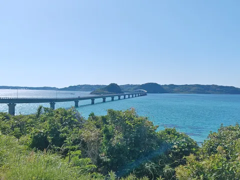 橋よ、どこまで続くの？