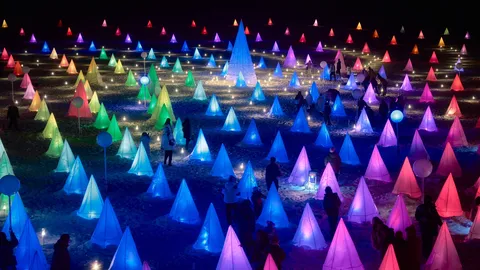光の錐体が織りなす夜の夢
