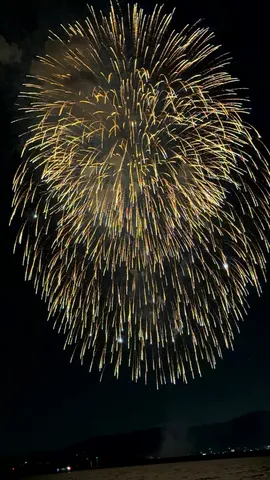 夜空に咲く黄金の華