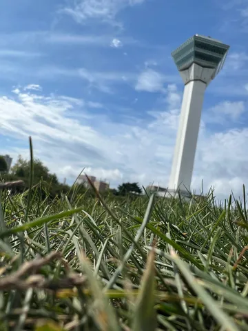 草むら越しの空と塔