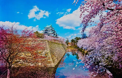 桜舞う古城の春