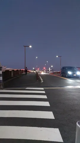夜の横断橋と灯る街