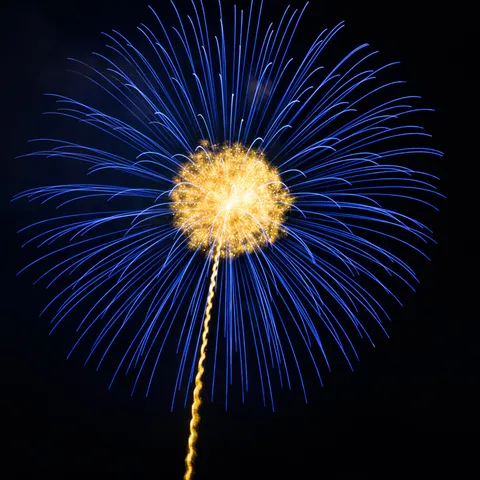 夜空に咲く、青い華
