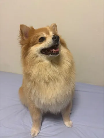 キラキラおめめの天使降臨
