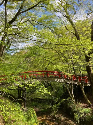 緑萌える川沿いの赤い橋