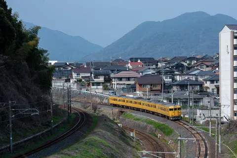 山並み望む街を行く黄色い列車