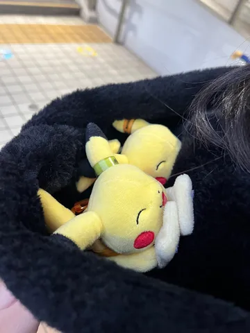 フードの中でぬくぬくと