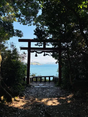 木漏れ日の海見晴らし