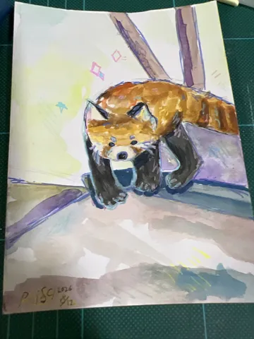 覗き込むレッサーパンダ