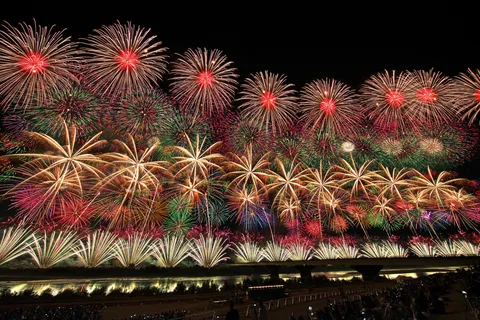 夜空に咲き誇る光の華々