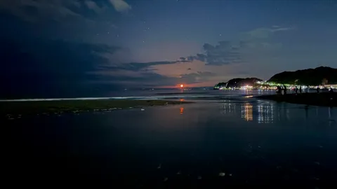 月光浴の夜、星降る海岸