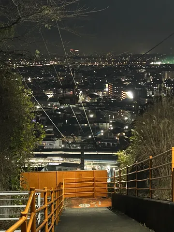 灯りの絨毯、夜景と道