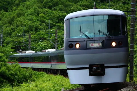 緑に包まれる、旅路の途中
