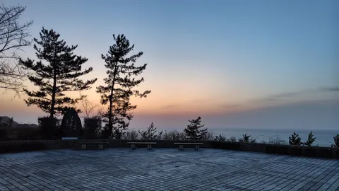 夕凪の海辺、静寂のテラス