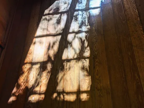 木漏れ日の幾何学模様