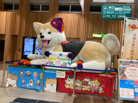 笑顔で見守る秋田犬