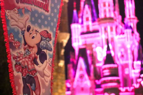 夜のディズニー風景の一角