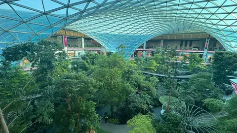 光る庭とガラス空間