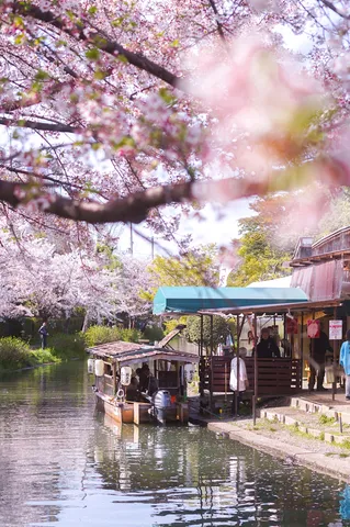 春爛漫、水辺の小舟と桜