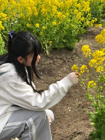 菜の花畑に囲まれて