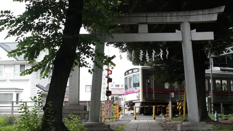 鳥居を抜けると、異世界が電車でやってきた。
