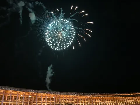 夜空を彩る大輪の花
