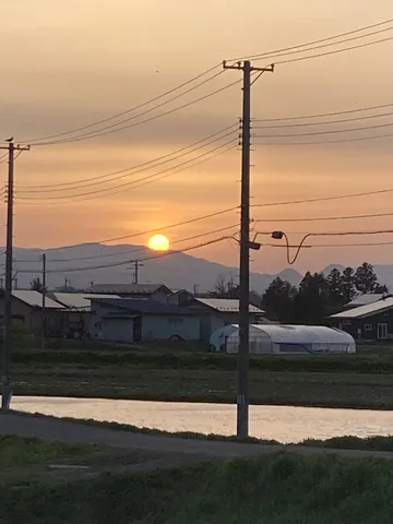 夕暮れに浮かぶ送電線と温室