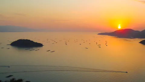 島と養殖棚の夕景
