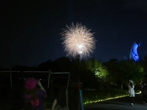 夜空を彩る光の饗宴