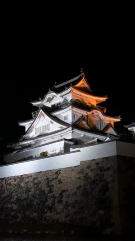 夜に浮かぶ城の灯影