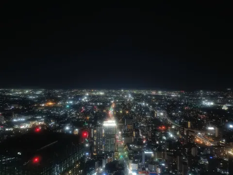 光の海に沈む、都市の夜景