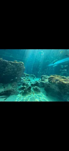 光が降り注ぐ神秘の海
