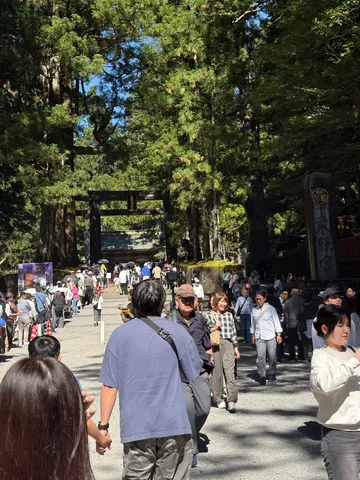 木漏れ日の参道風景