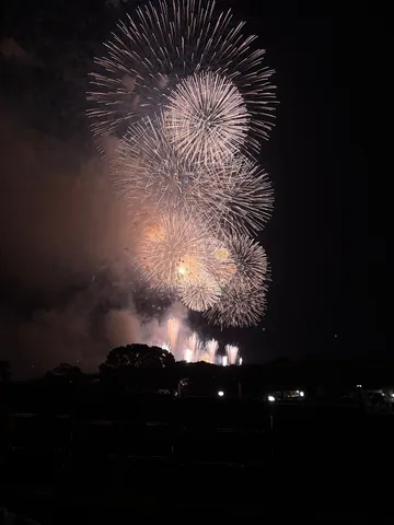 夜空を彩る光の芸術