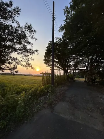夕焼けと、やたら目立つ電柱