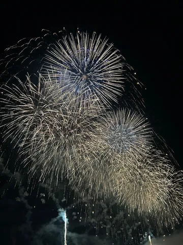 夜空に咲く、光の華