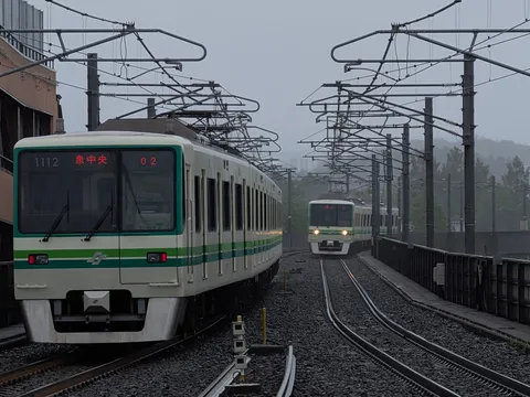 雨空の下、並走する二つの列車