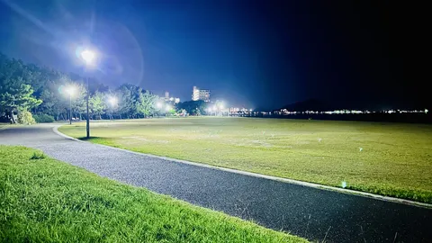 夜の公園、光のシャワーが降り注ぐ