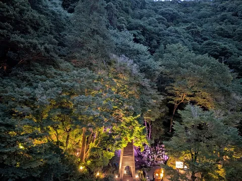夜の森に浮かぶ光の階段