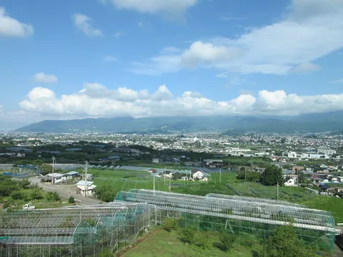 広がる緑と街並みのコントラスト